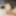 Ücretsiz ALIS-A80 Fotoğrafları
