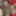 Fucking Sexdoll Gina 