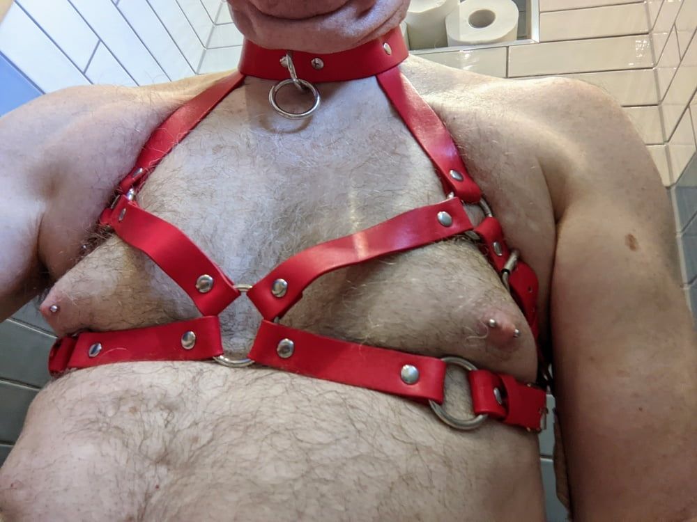 Boob harness