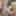 Shino Aoi :: The Prey waitress - CARIBBEANCOM #17