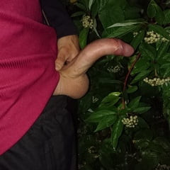 Outdoor Session 2018-07-20