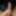 Dick
