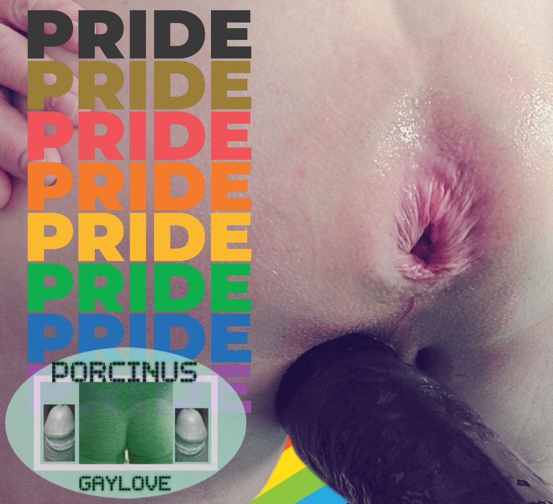 Pride love #24