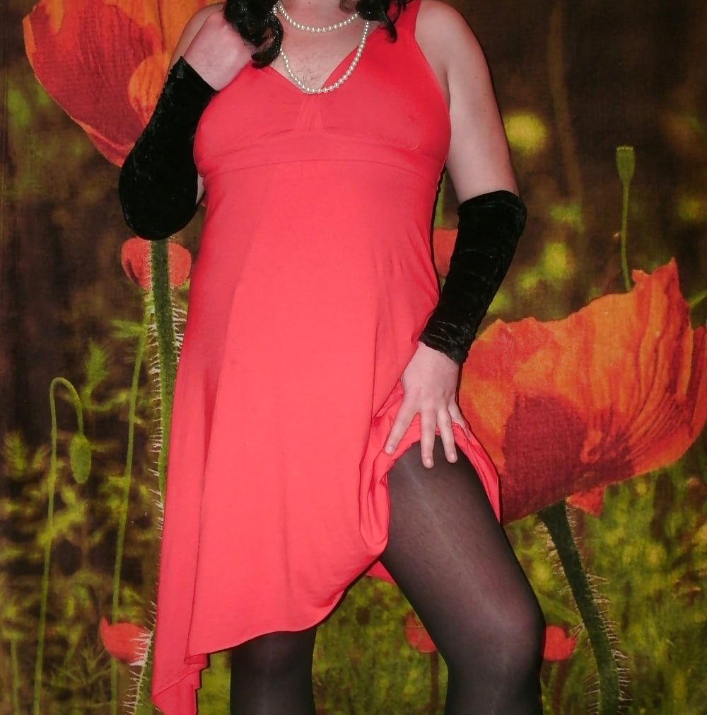 Sissy Boy Lovelaska -   Red poppies #15