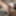 テヌエセクシー