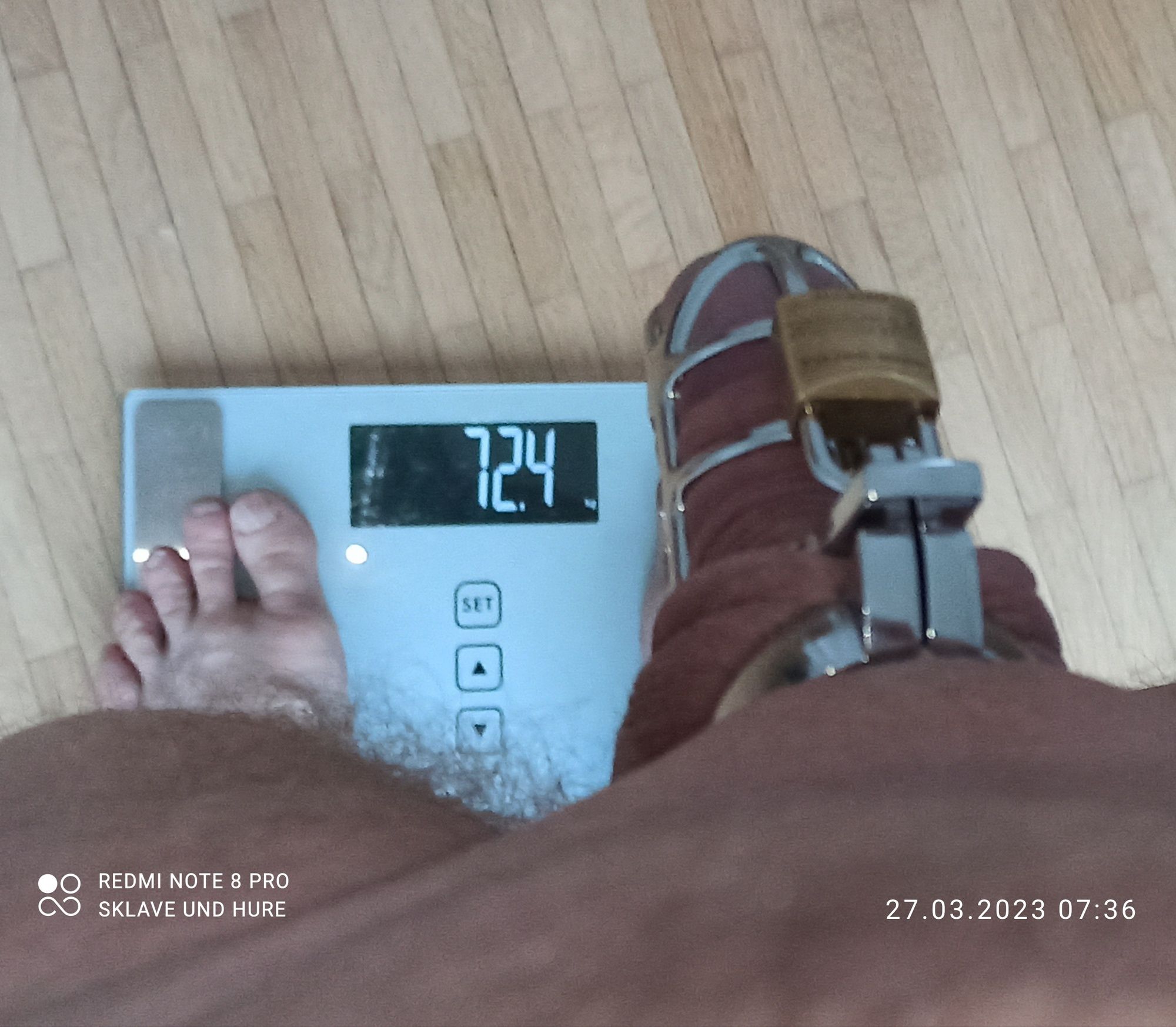 mandatory weighing and cagecheck of 27.03.2023 #5