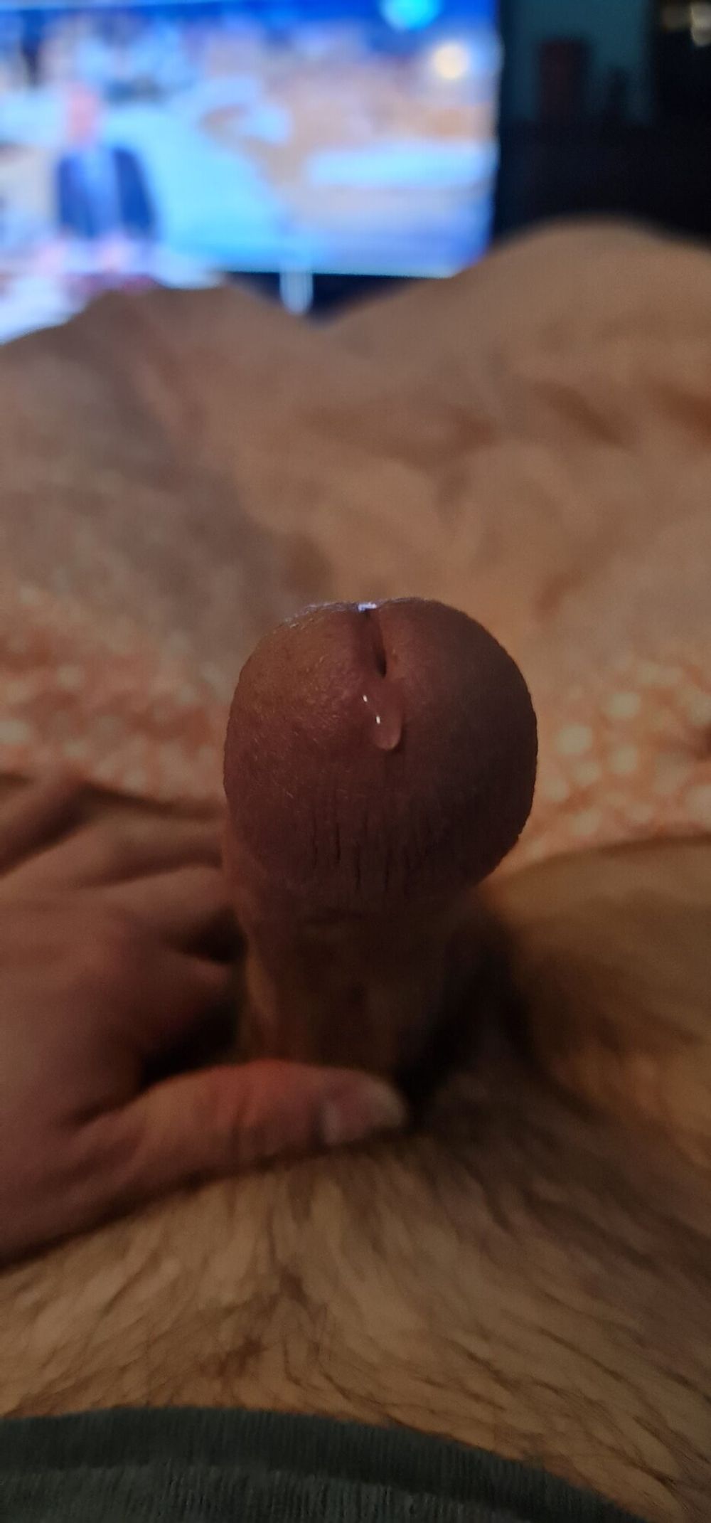 My veiny hard cock in close up #25