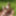 Gray-haired beauty posing naked outdoors on a blanket #60