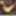 shemale lingerie sounding dildo sissy 4b