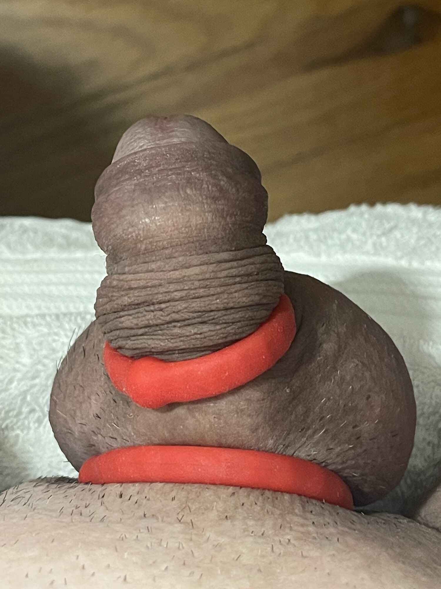 My little Cock #5