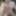2018 pics