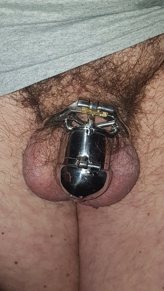 Chastity cage #17