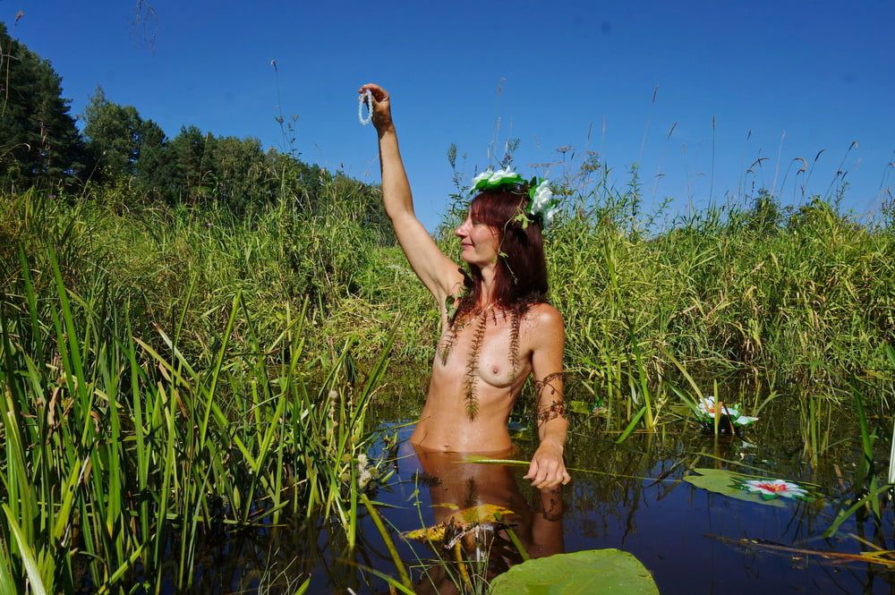 In pond with waterflowers #14