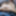 Miscellaneous  #26