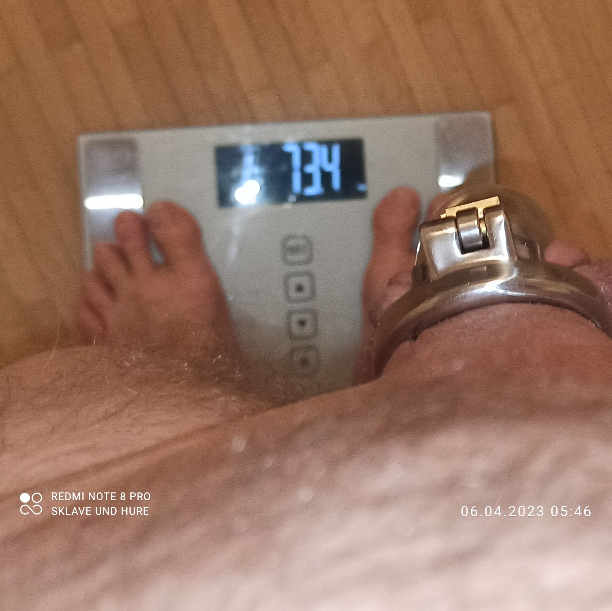 mandatory weighing and cagecheck of April 6, 2023 #12