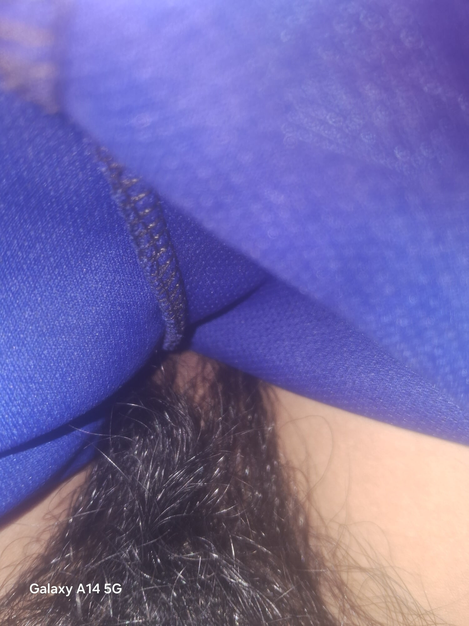 Samo dvorište želi