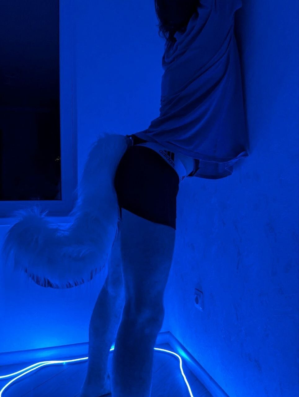 VacFurrDemon66 Fursuit #12