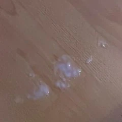 Geil