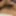 Free Axel Rouse  Photos
