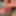 Cock