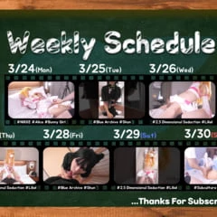 3.24-3.30 UPLOAD SCHEDULE