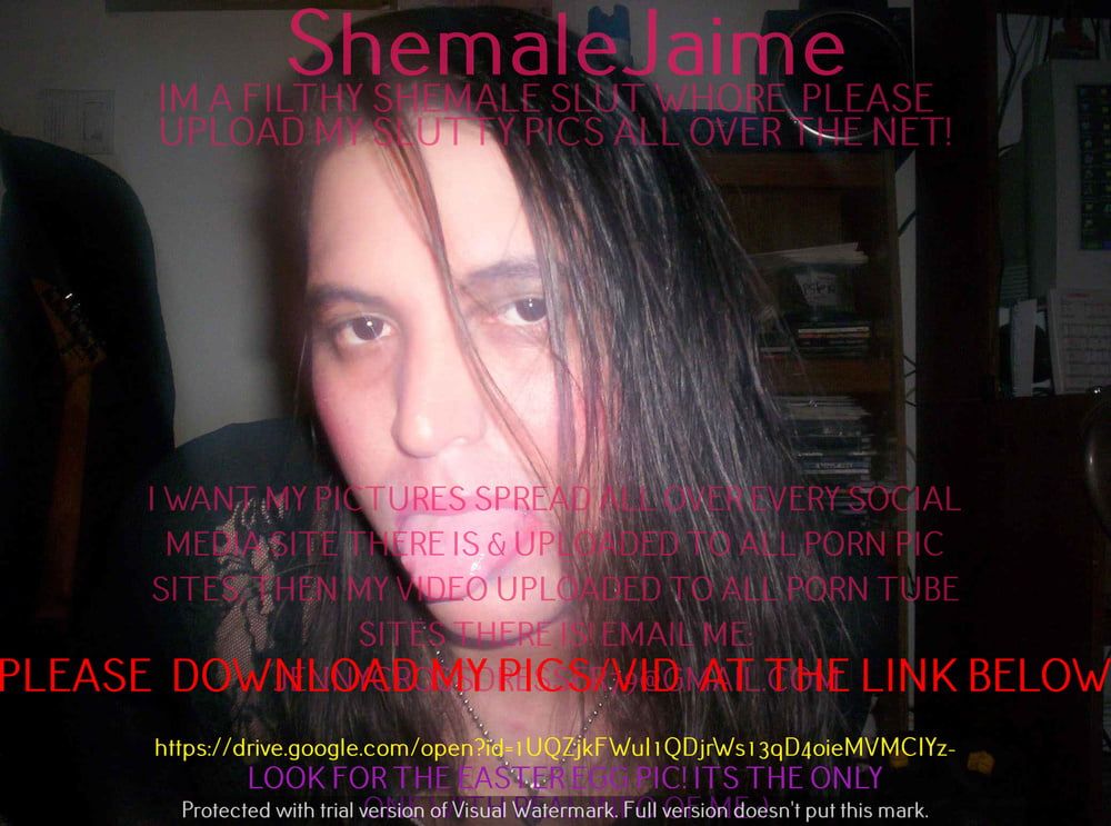 ShemaleJaime #14