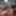 Tygra good dildo session #5