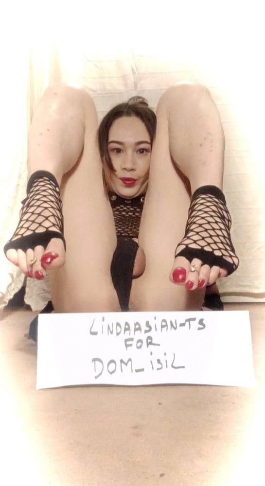 Lindaasian-ts for Master DOM_isil (part 2). #14