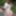 Miyu Usagi :: If My Girlfriend Is Miyu Usagi - CARIBBEANCOM #9