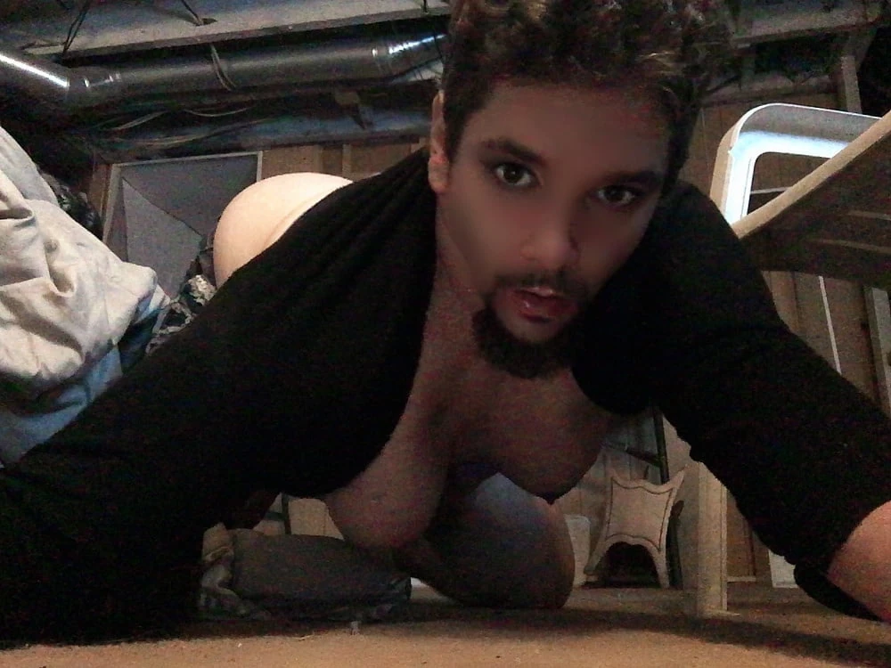 Great PIX N Vids 17