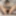 BOBSTGIRLS: WooHoo for Zuzu!