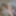 ウェレリー無料写真