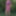 Flowered dress #31