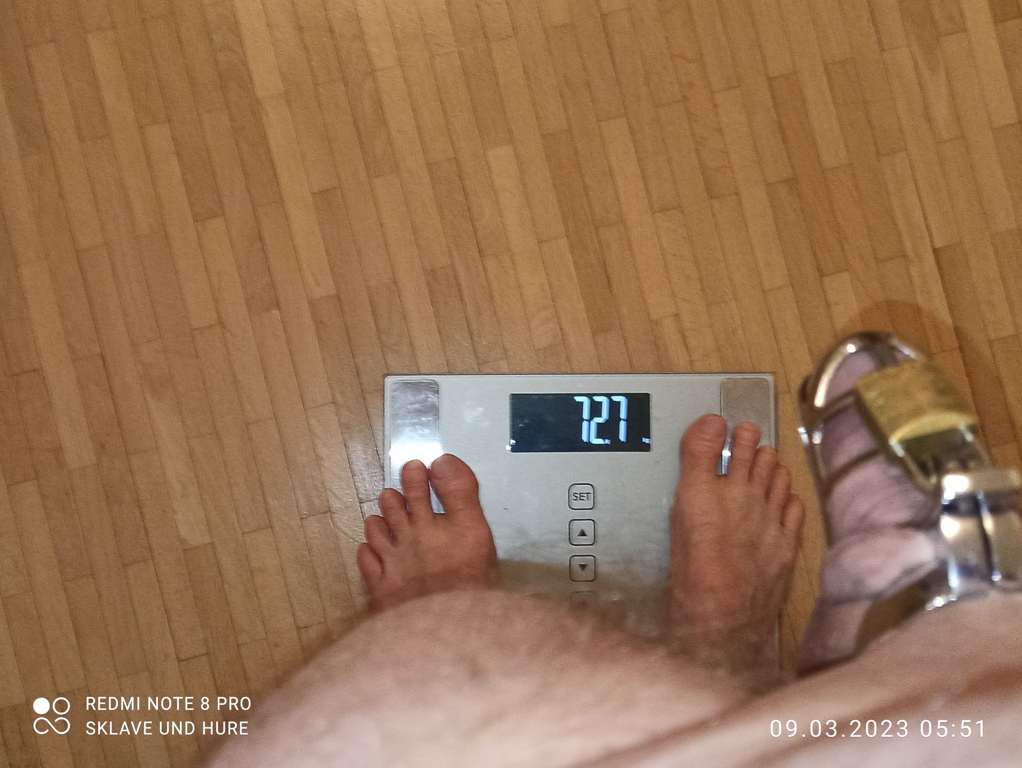 mandatory weighing and cagecheck of 09.03.2023