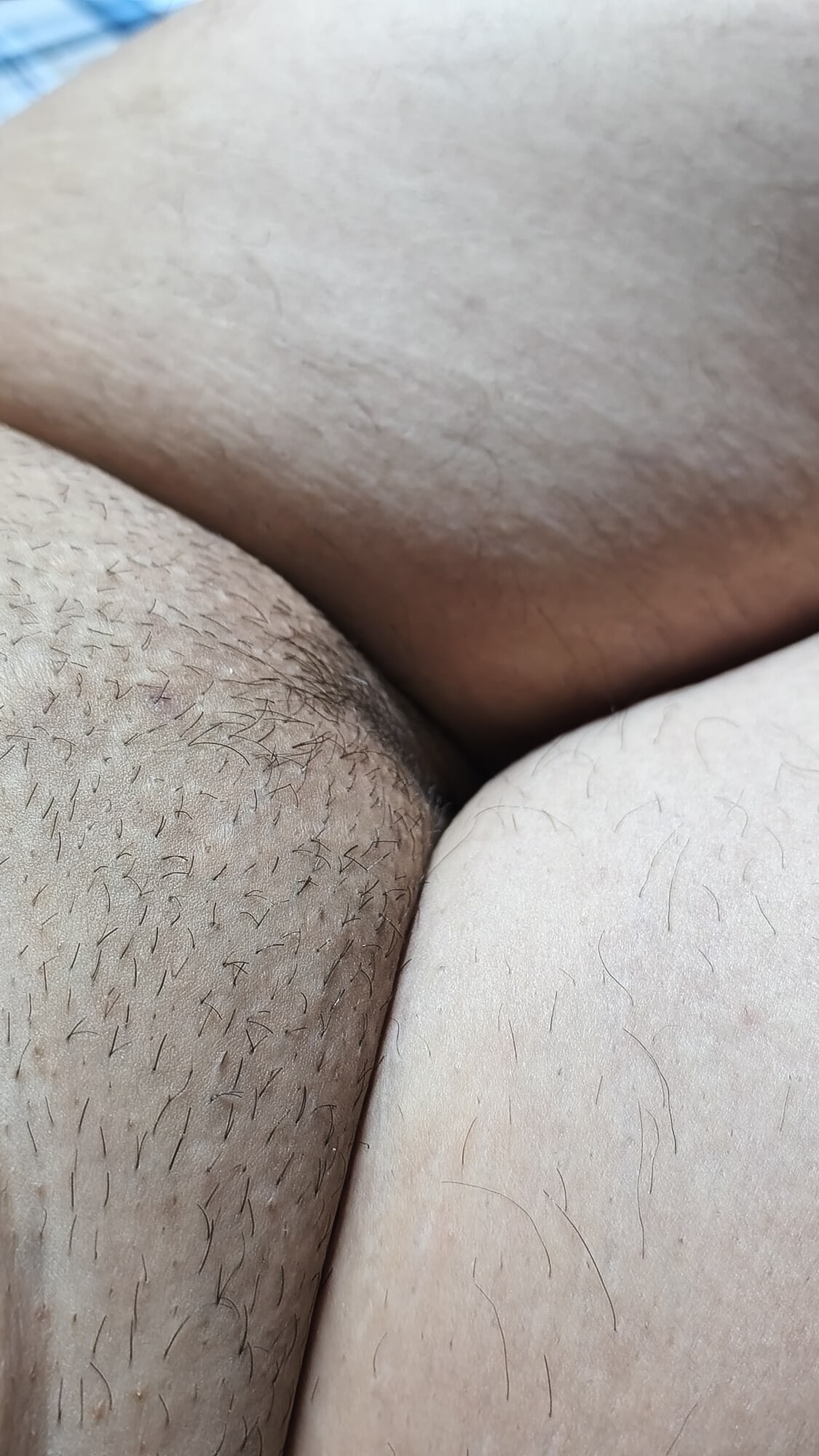 Pussy