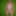In front of the greenscreen  - 2021/09/18 #6