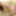 Anri Tachibana :: If My Girlfirend Is Anri Tachibana - CARIB #7