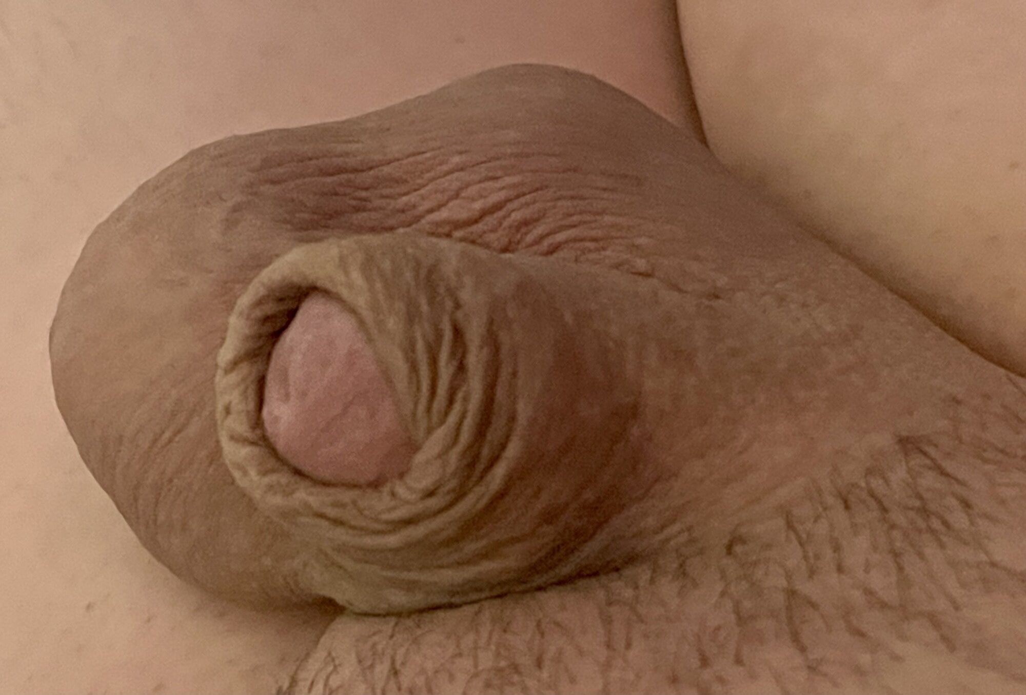 Small cock man pussy little bitch #3