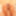 In the bathroom the sexy blonde enjoys her asshole with huge #49