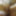 Husband and Wife Mutual Masturbation Fucking Hairy Pussy #3