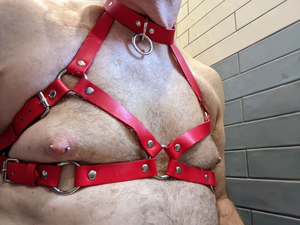 Boob harness #12