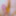 Tiny oiled girl "Little Dessert" is fucked from behind and g #19