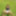 Mini skirt in the forest and nothing underneath