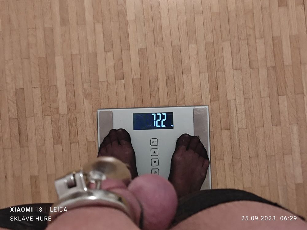 Weighing, Cagecheck plugcheck, stockings September 25, 2023