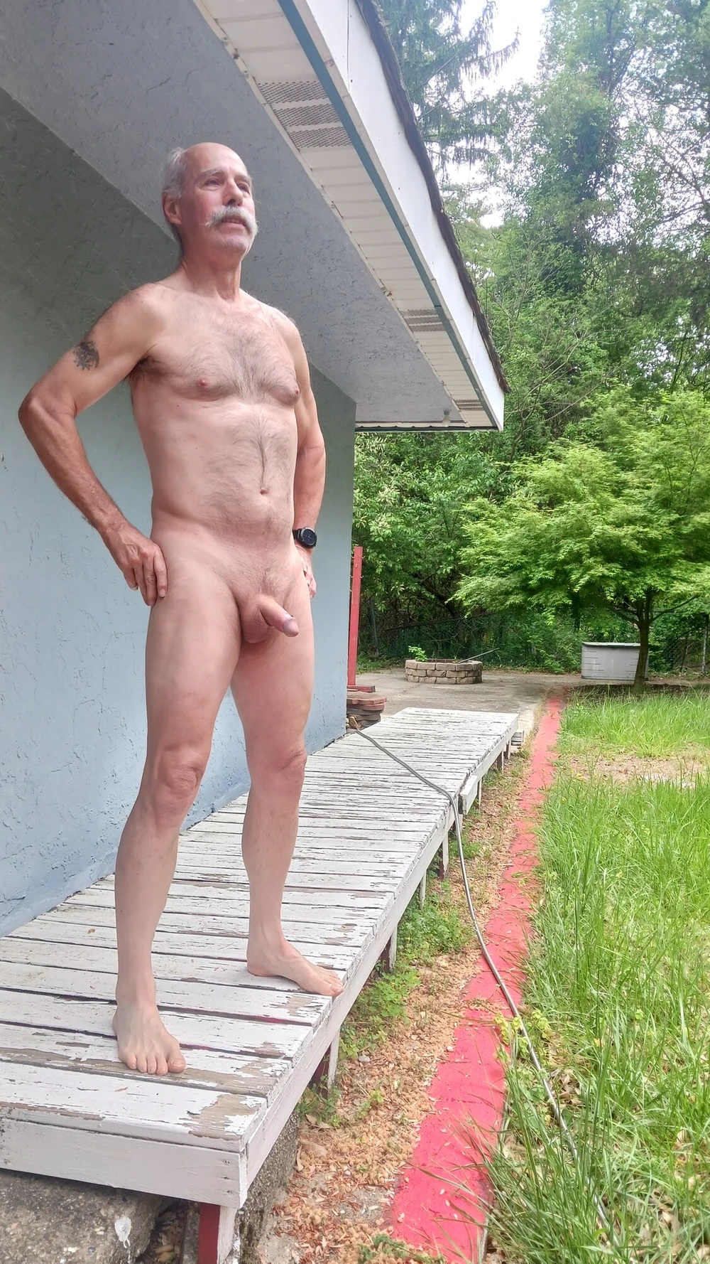 Spring in Tony's backyard