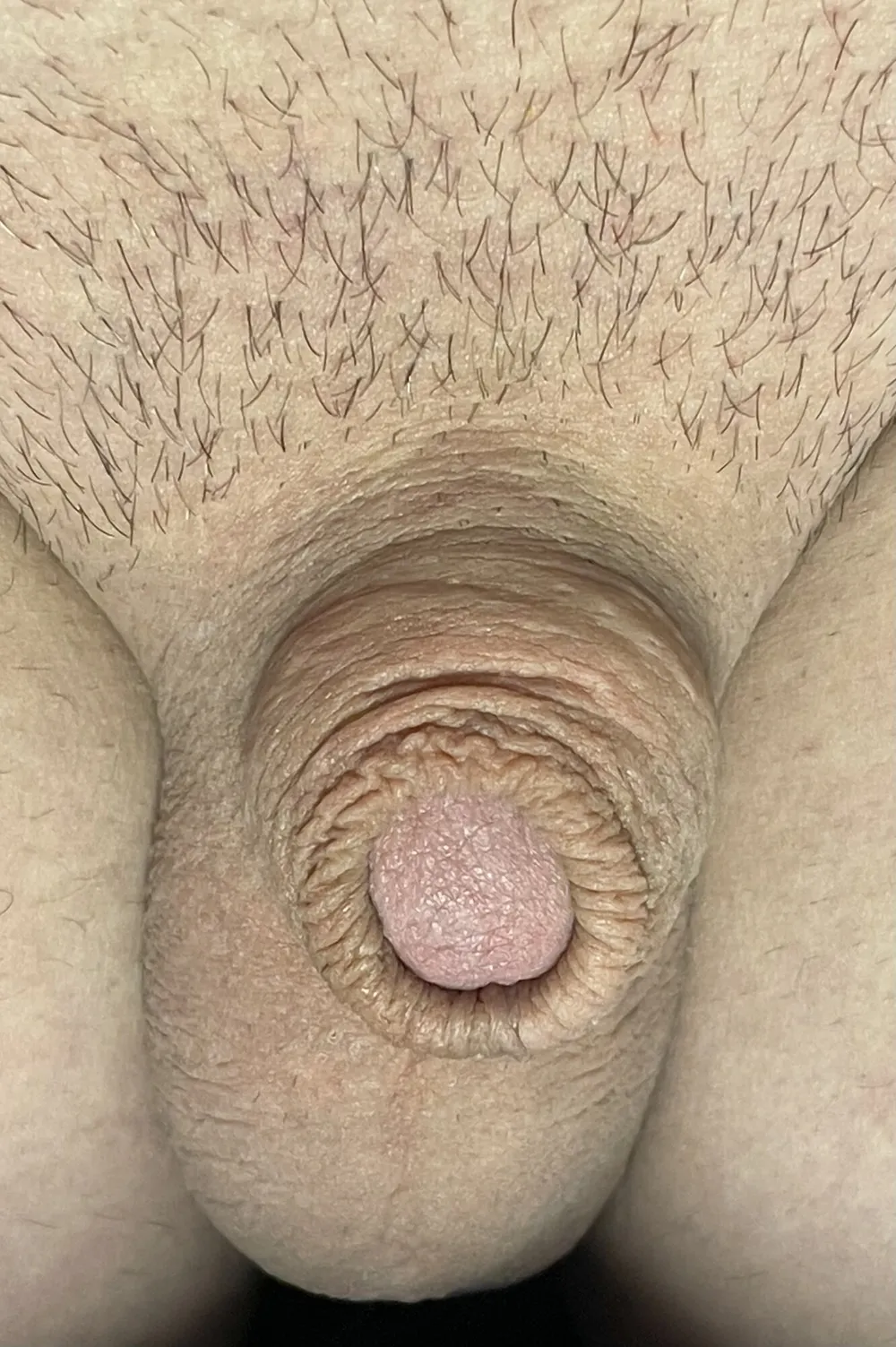 Cute, tiny micro cock #3