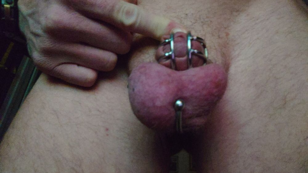 My useless cock in chastity 