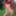 Redhead Outdoors Strips Jeans Off Wearing Pantyhose #58