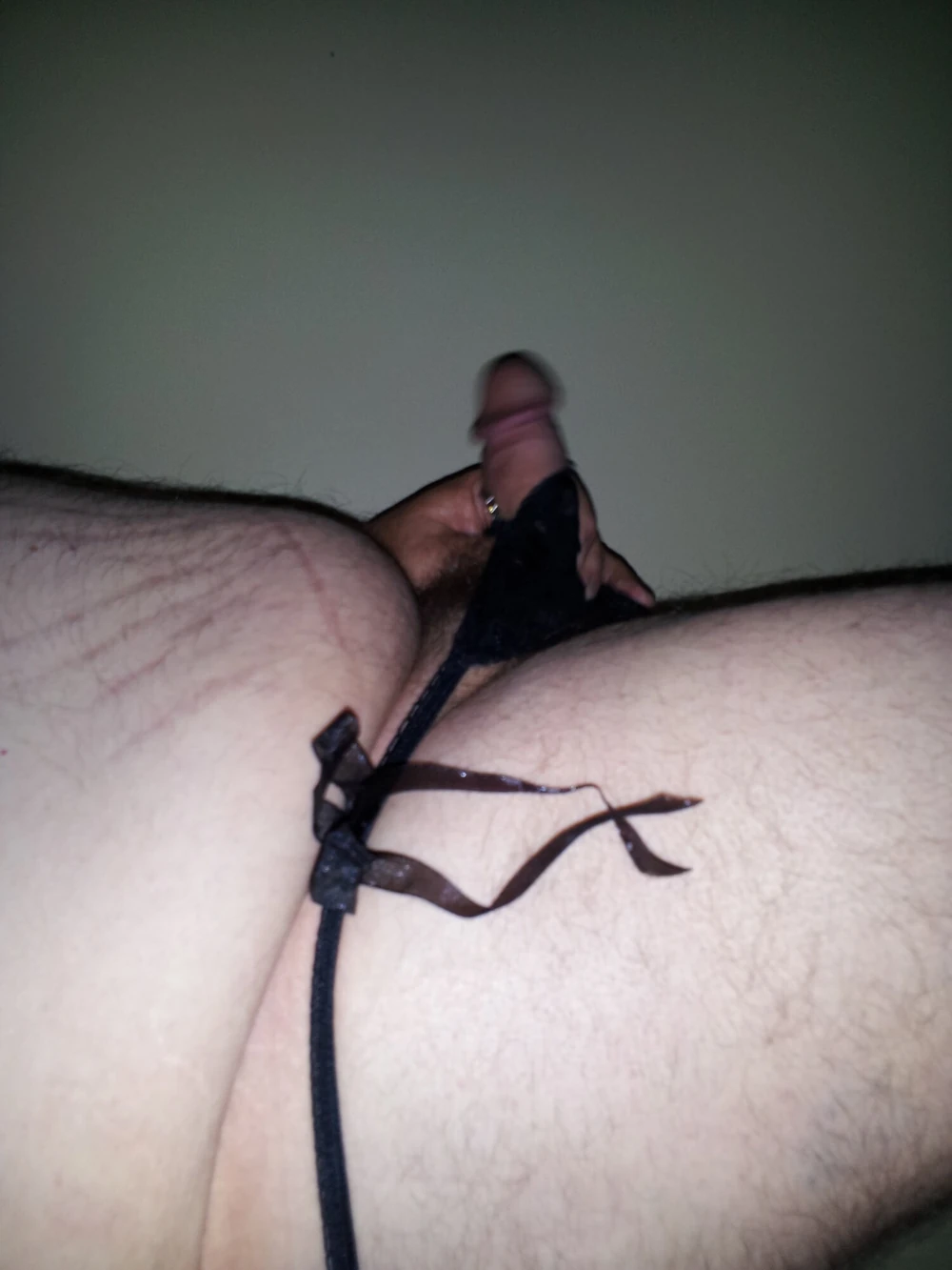 CD favorite panty 
