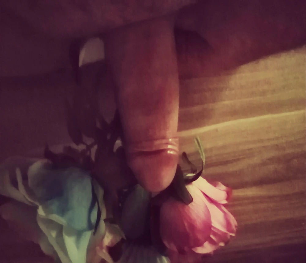 Hab dir Blumen mitgebracht Kleines